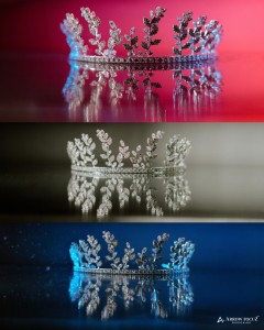Portfolio Image